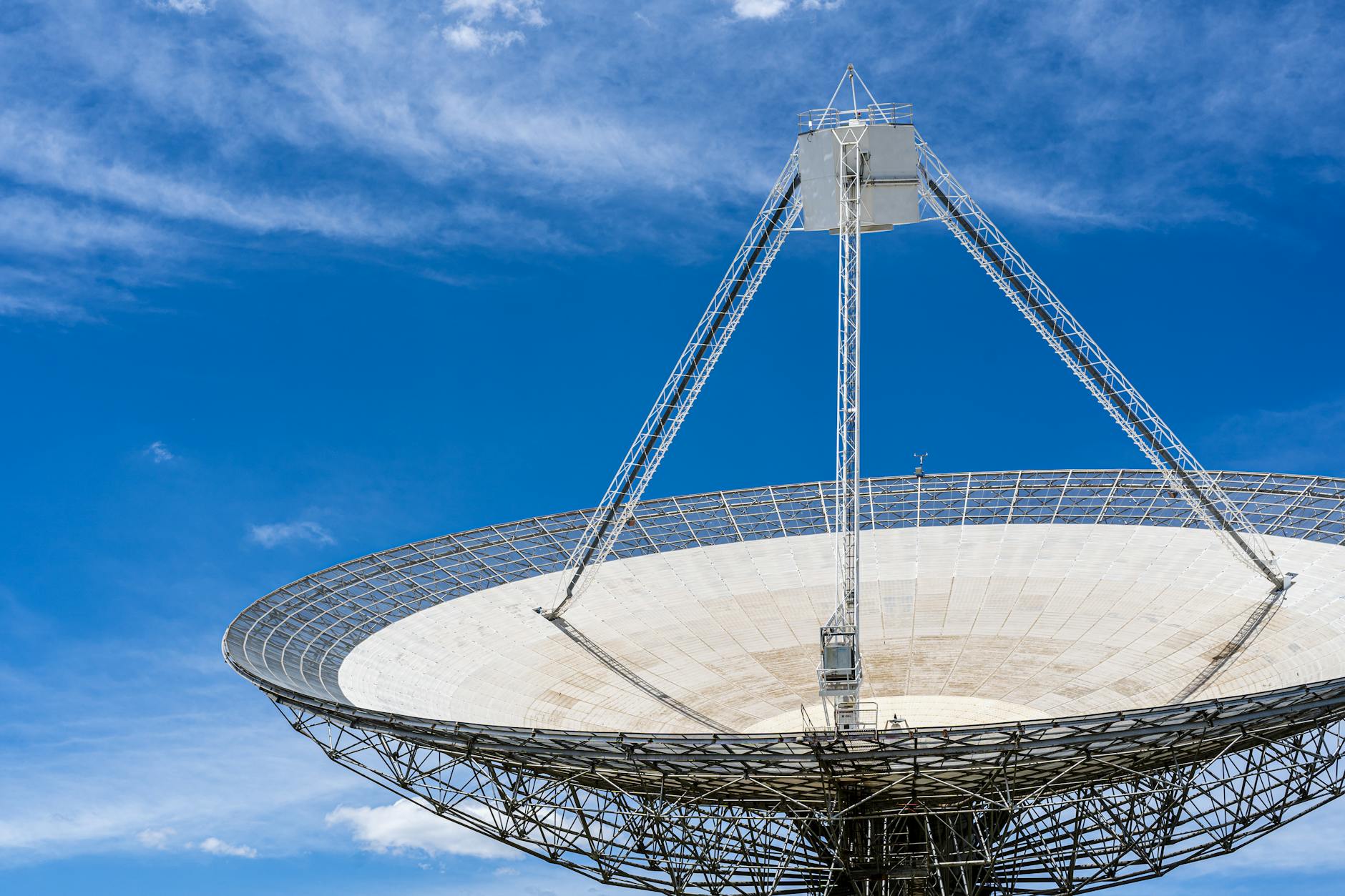 What is TMT consulting?